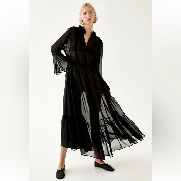 H&M Edition Sheer Maxi Dress - Picture 2 of 8